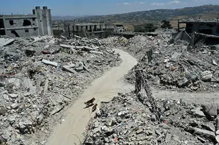 Stray dogs walk past the rubble of flattened homes and businesses, destroyed by the Israeli military, in the southern Lebanese village of Tibnin on June 24, 2026. — AFP pic